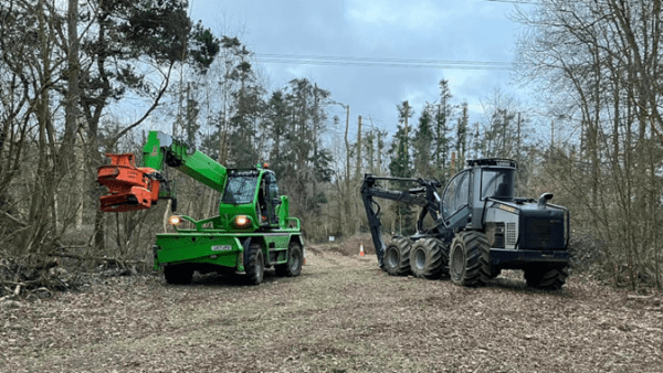 Forestry and Arb
