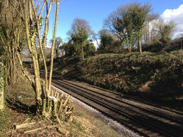 rail vegetation management